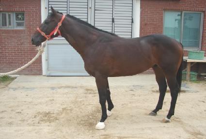 ŷ���̴� ����