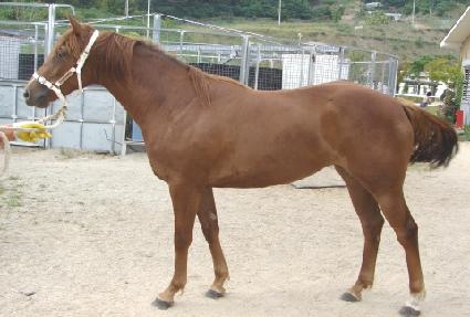 ��ȥ ����