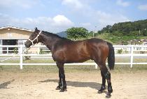 ����¡ŷ (RISING KING) ����