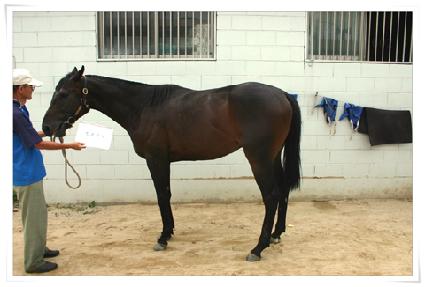 õȣ�Ż� ����