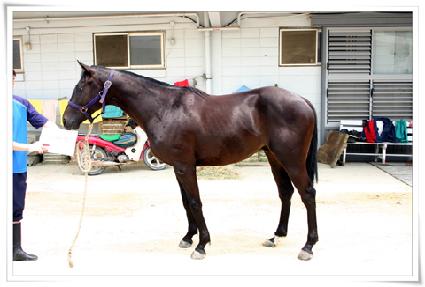 �����̴� ����