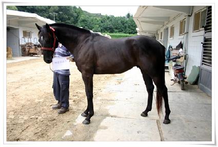 �����̽�Ʈ ����