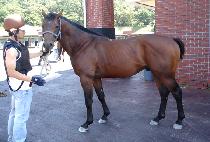 ���丮������ (VICTORY FIGHTER) ����