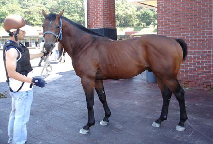 ���丮������ ����