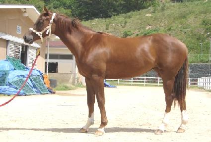 �������̵� ����