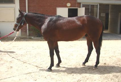 �ö���ȣ�� ����