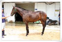 ���ؽ� (PORTEX) ����