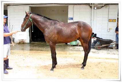 ���ؽ� ����