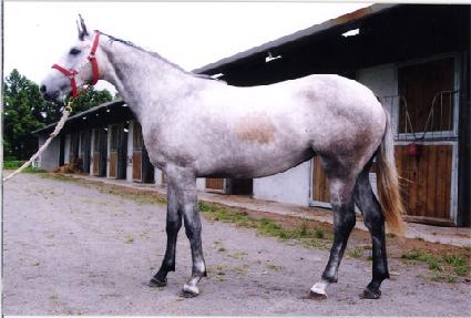 ����ó�� ����