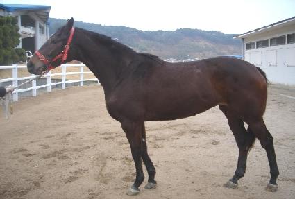 �θ��׽�ũ ����