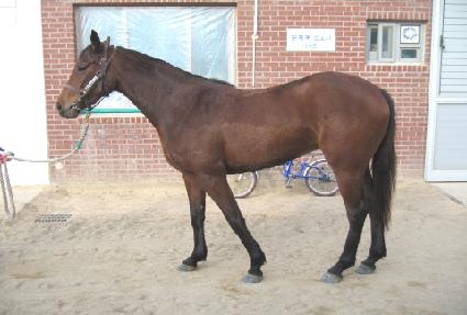 ���н�ȭ ����