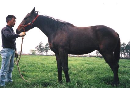 ��ǰ��ġ ����