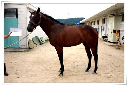 ���þ� ����