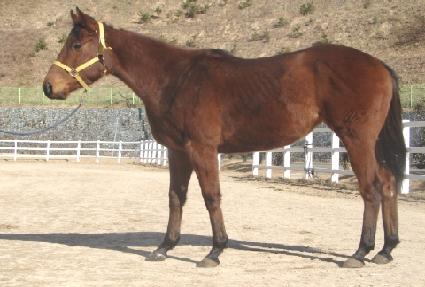 ���� ����