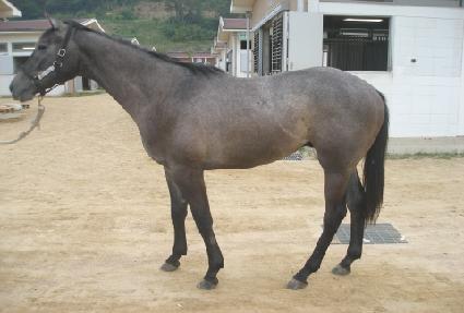 ������Ʈ ����