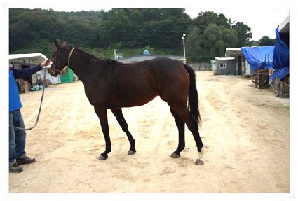 ������� ����