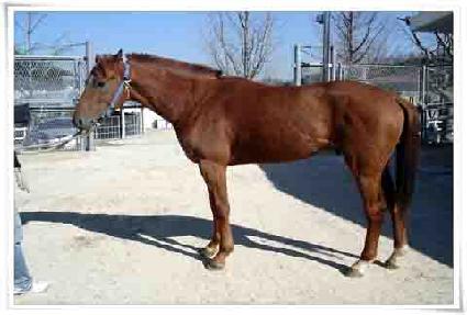 ��Ű��ġ ����