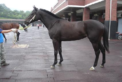 ������� ����