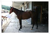 ��Ȳ�� (SEONGHWANGSAN) ����