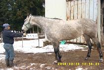 NAMDO MYEONGJANG picture