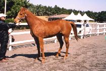 �������� (BULPAEJEWANG) ����