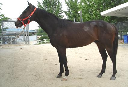 �������� ����