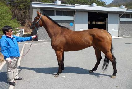 ��Ű����ƾ ����