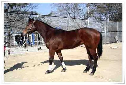 õ��ȭ ����