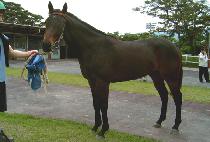 ��Ʈ�� (CHART ONE) ����