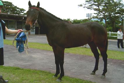 ��Ʈ�� ����