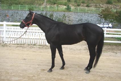 �ػ� ����