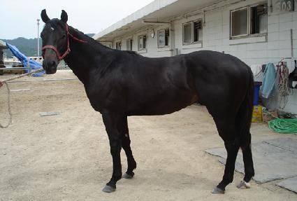 ���̽��� ����