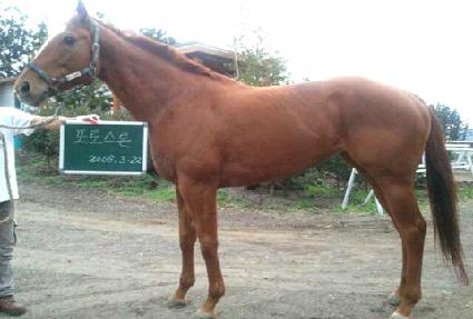 ���佺�� ����