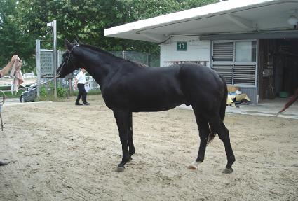 �������� ����