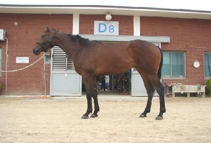 ������ž ����