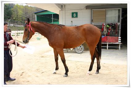 �ٿ��� ����