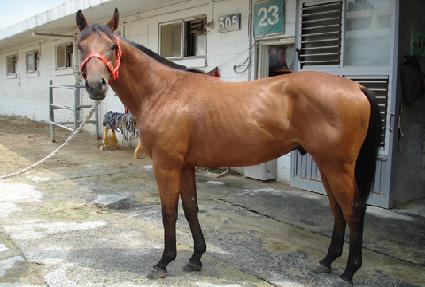 Ȳ��ó�� ����