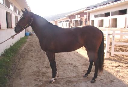 ���Ÿ��۷θ� ����