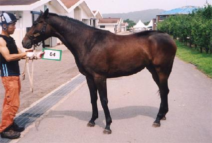 �׸�ĳ�� ����