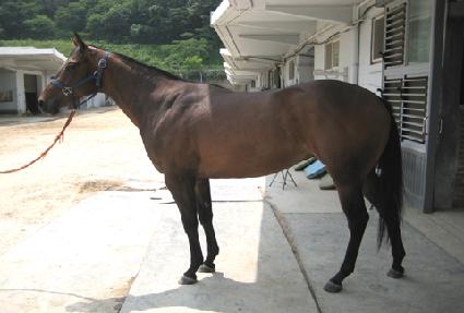 ������ ����