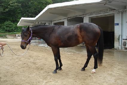 �ƽ��� ����