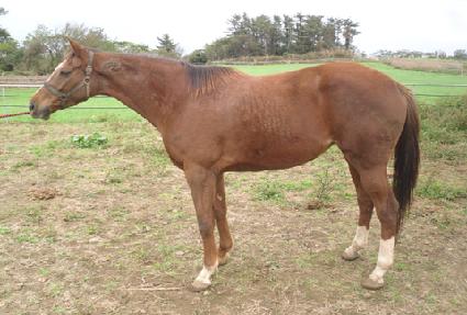 ��ĭ ����