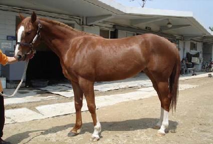 ��︲�ٴ� ����