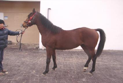 �����Ҷ� ����