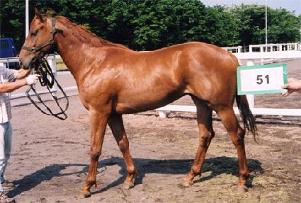 ��������۷����ڸ� ����