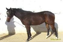 ���츮�׺��� (SEVEN LEAGUE BOOTS) ����