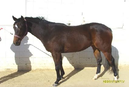 ���츮�׺��� ����