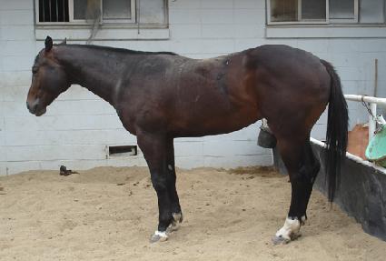 �򺸽� ����