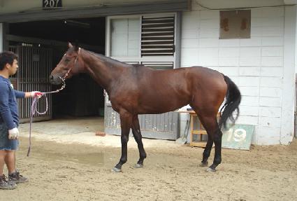 ������� ����