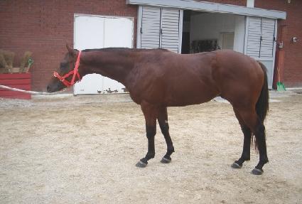 ��Ʈ����Ŀ ����